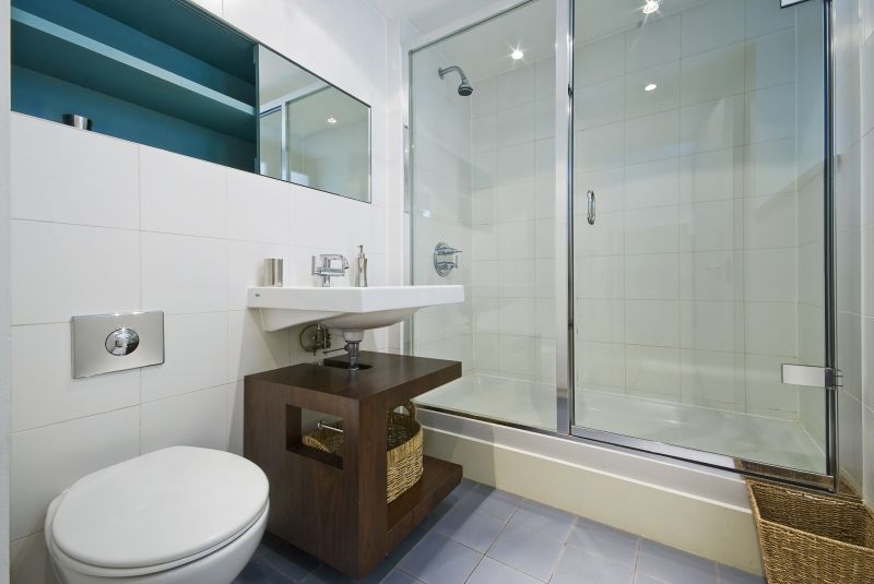 Glass Shower Door
